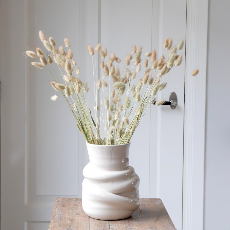 Fleurs séchées - Bouquet 'Lagurus Bunny Ears'