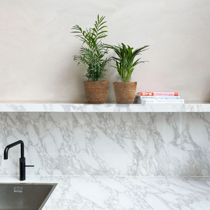 Petits Dypsis et Chamaedorea - Lot de 2 avec panier - Hauteur 25-40cm - ⌀12cm