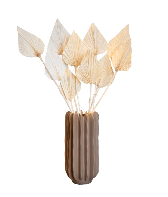 Fleurs séchées - Set de 10...