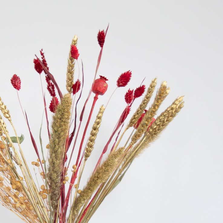 Fleurs séchées - Bouquet 'Jingle Bells'