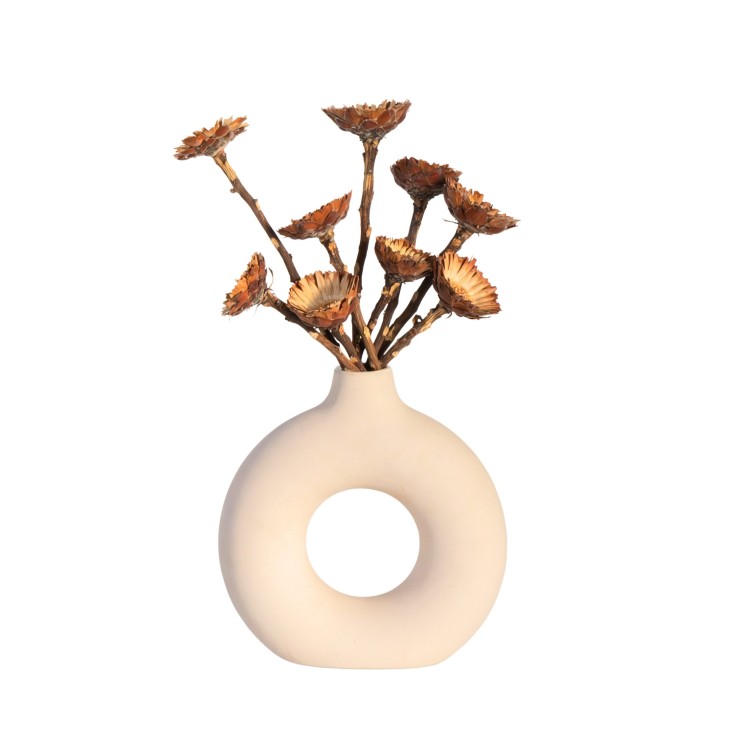 Fleurs séchées - Set de 10 - Bouquet 'Protea Compacta'