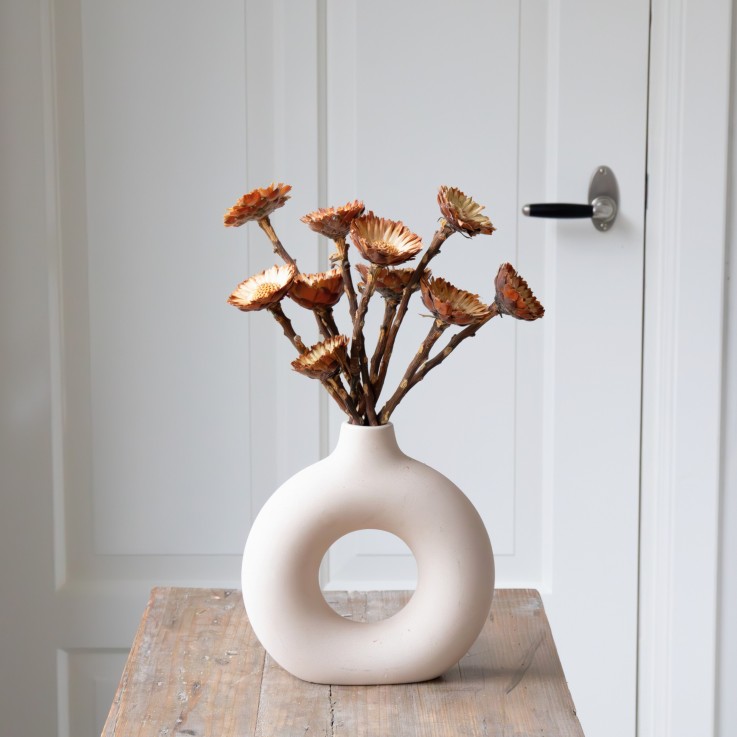 Fleurs séchées - Set de 10 - Bouquet 'Protea Compacta'