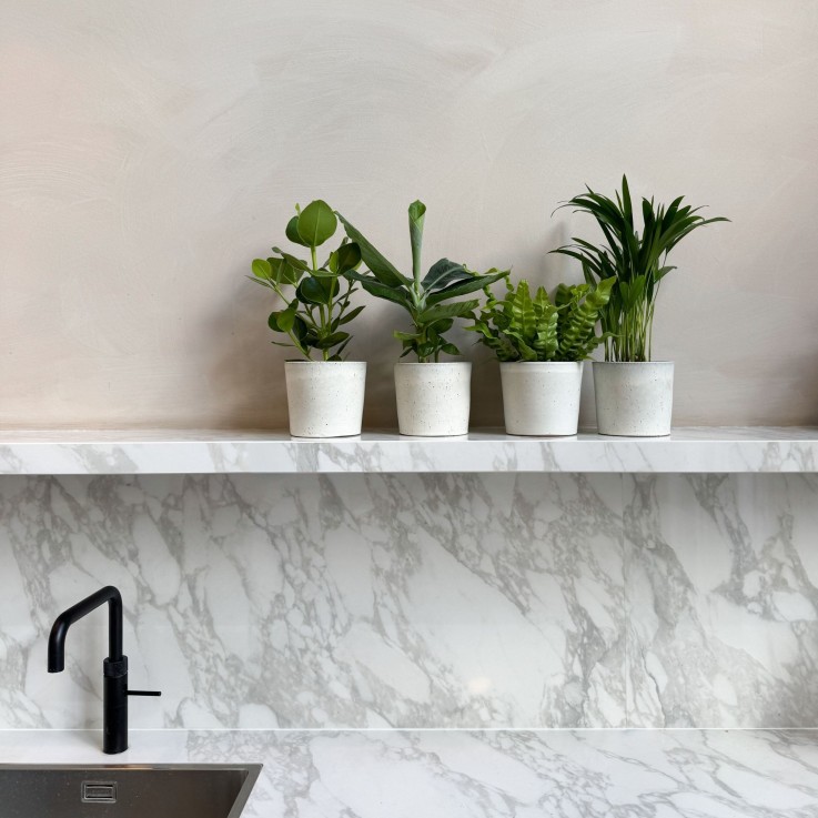 Plantes d'intérieur - Set de 4 - Areca Asplenium Clusia Musa - H25-40cm - ⌀12cm