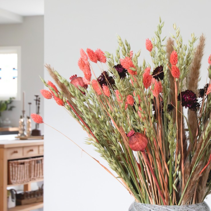 Fleurs séchées - Bouquet 'Large Zoey'