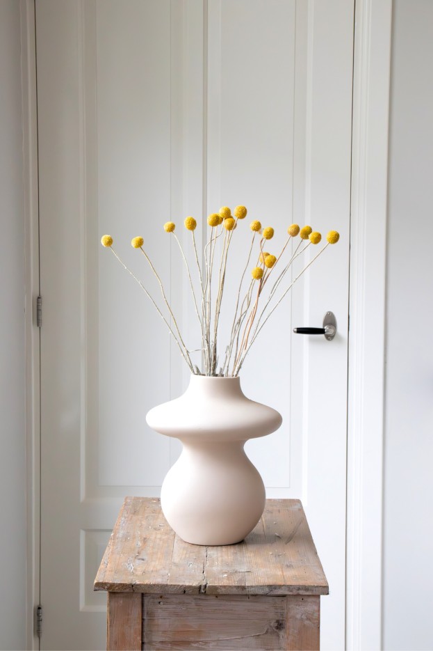 Fleurs séchées - Bouquet 'Craspedia natural yellow'