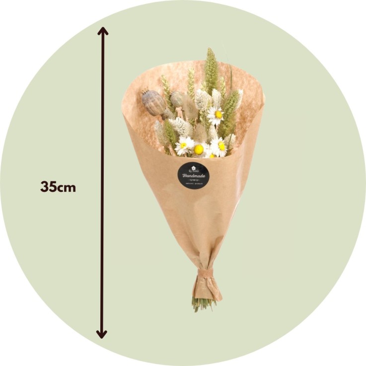 Fleurs séchées - Bouquet 'Nature's Pride'