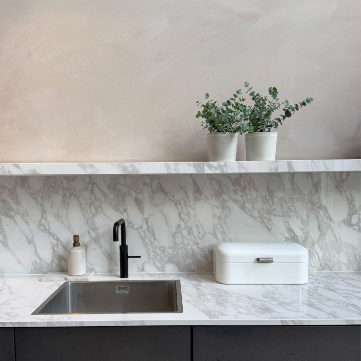 Gommier - Set de 4 - Eucalyptus 'Pulverulenta' - Hauteur 25-40cm - ⌀12cm