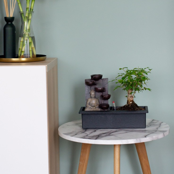 Bonsaï - Set de 2 - Bonsai - Hauteur 25-35cm - ⌀29cm