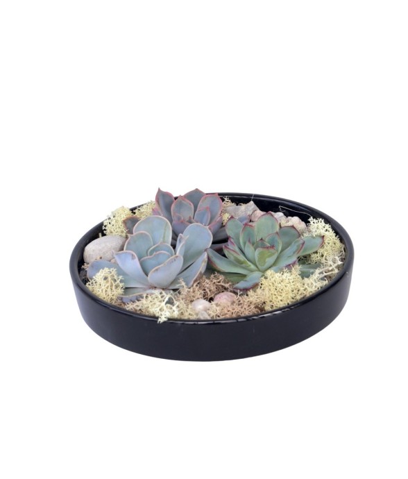 Mélange de Jardin Noir -...