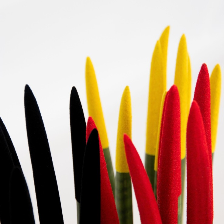 Langue de belle-mère - Set de 3 - Sansevieria cylindrica - H20-40cm - ⌀9cm