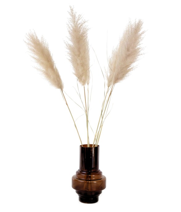 Fleurs séchées - Set de 5 -...