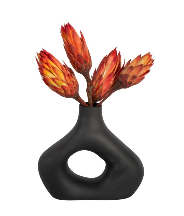 Fleurs séchées - Set de 5 -...