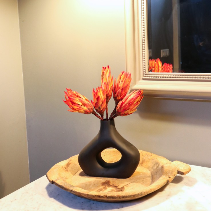 Fleurs séchées - Set de 5 - Bouquet 'Protea Pendula Red'