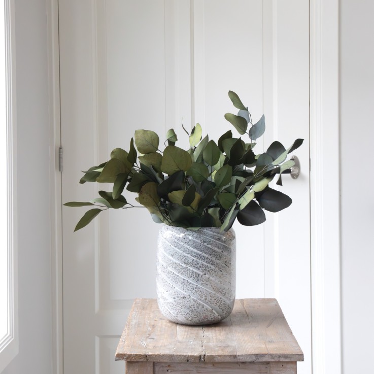 Bouquet de fleurs sèches - Eucalyptus stuartiana