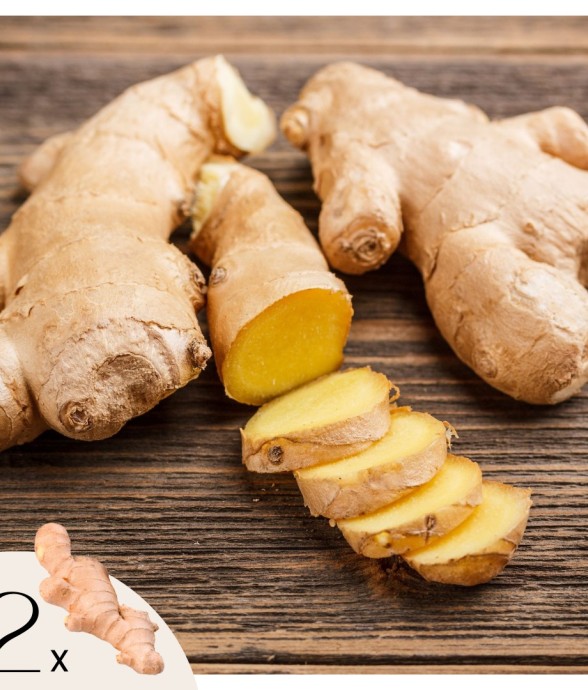 Gingembre - Set de 2 -...