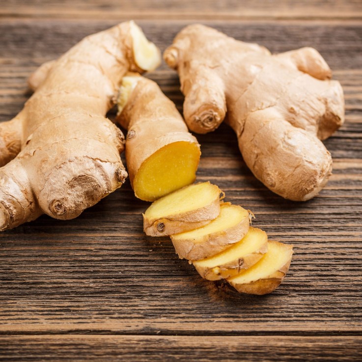 Gingembre - Set de 2 - Zingiber officinale - Rhizomes