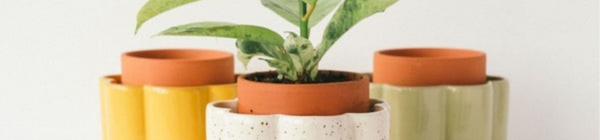 Lot De 6 Pots Auto-Arrosants Yuragim Pour Plantes Aromatiques Et Herbes - Système D'Irrigation Intérieur Balcon - 8