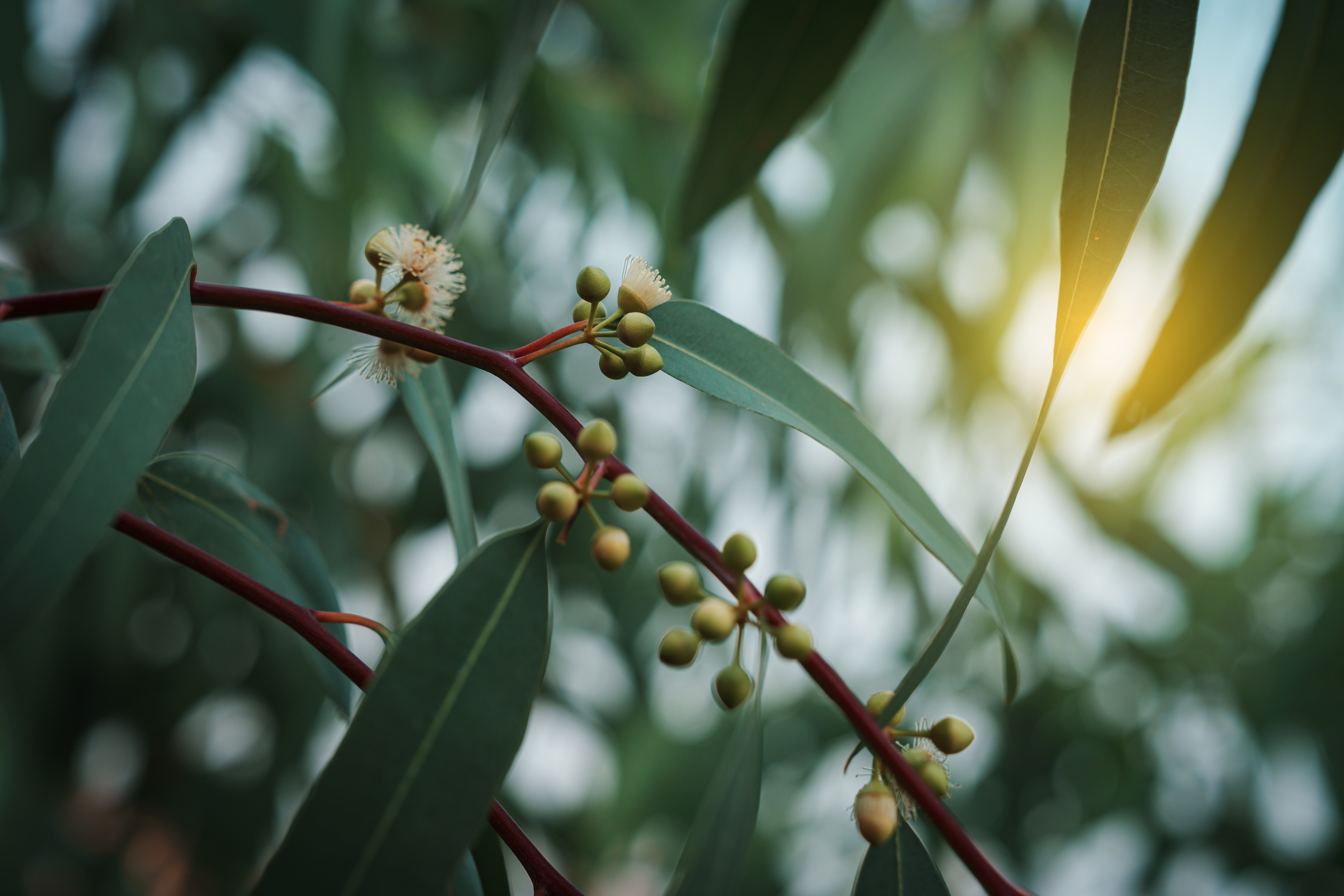 AdobeStock_1069100283.jpeg