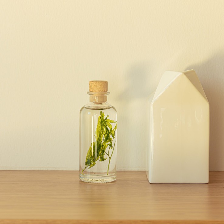 Herbarium fait main avec plantes naturelles