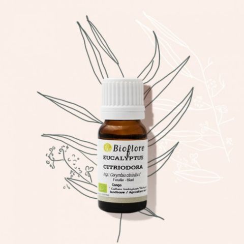 Huile essentielle eucalyptus citronné bio 10ml - Bioflore