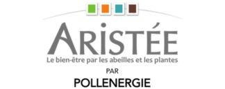 Pollenergie