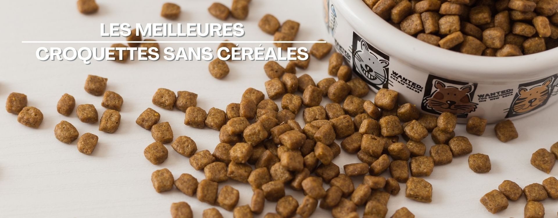 Quelles sont les meilleures croquettes sans céréales pour chien et chat ?