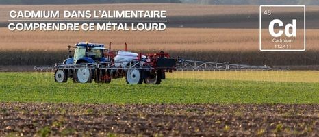 Cadmium : comprendre sa présence dans l’alimentation et adopter les bons réflexes