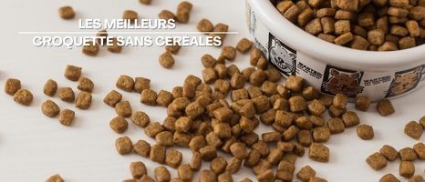 Quelles sont les meilleures croquettes sans céréales pour chien et chat ?