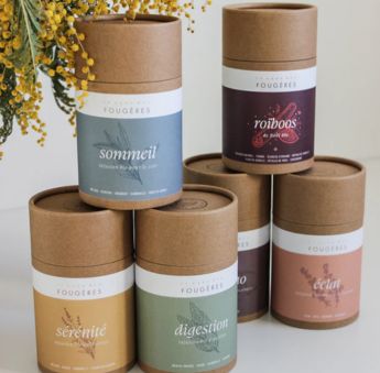 Le Gang des Fougeres