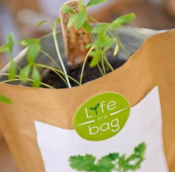 Life in a Bag
