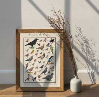 Les carnets de pierre